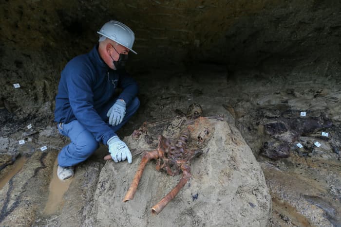 An archaeologist, near the skeleton of the last fugitive, the last person who was trying to escape from Herculaneum during the eruption of the volcano Vesuvius, which in 79 AD. destroyed the cities of Herculaneum and Pompeii.