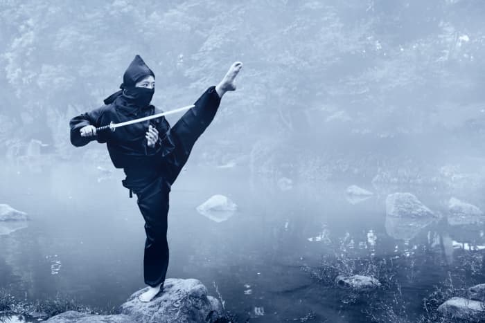 The seemingly supernatural abilities of the ninja show what a human can achieve through rigorous conditioning and discipline.