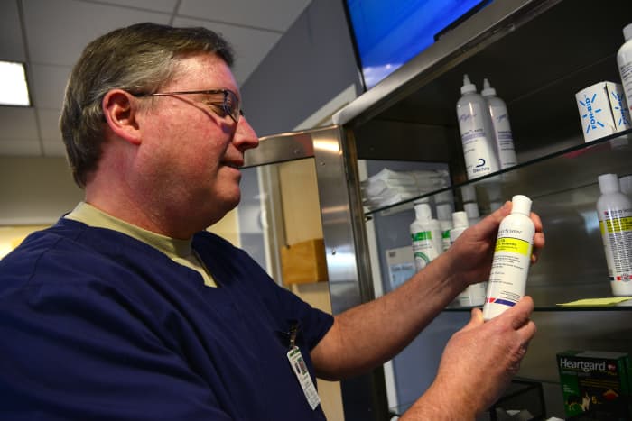 Heartworm medications are available at your nearest vet's office.