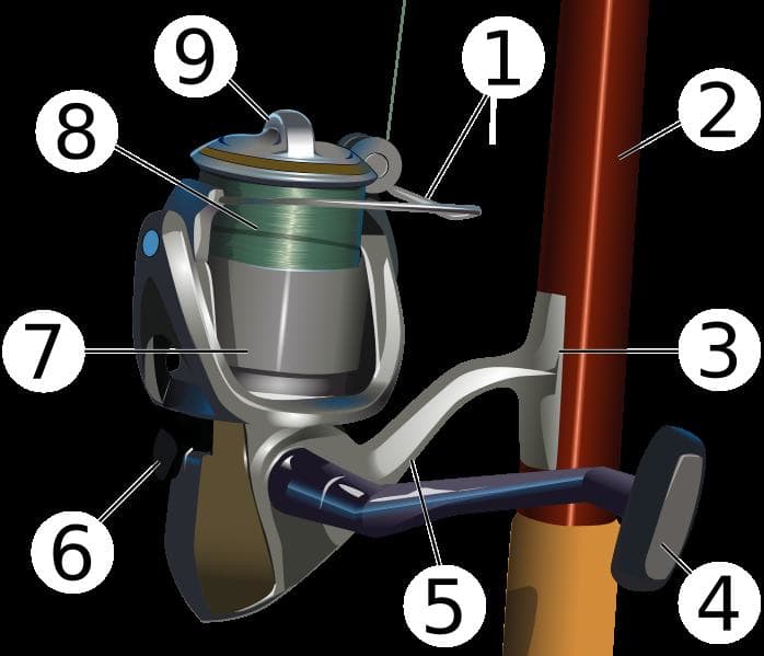 1: Pick up or bail 2: Reel seat 3: Reel foot 4: Handle 5: Support arm 6: Anti-reverse lever 7: Skirted spool 8: Fishing line 9: Drag adjustment knob