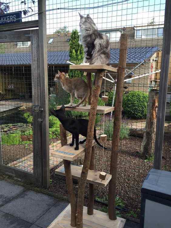 30+ DIY Catio Ideas That Are Totally Pawsome PetHelpful