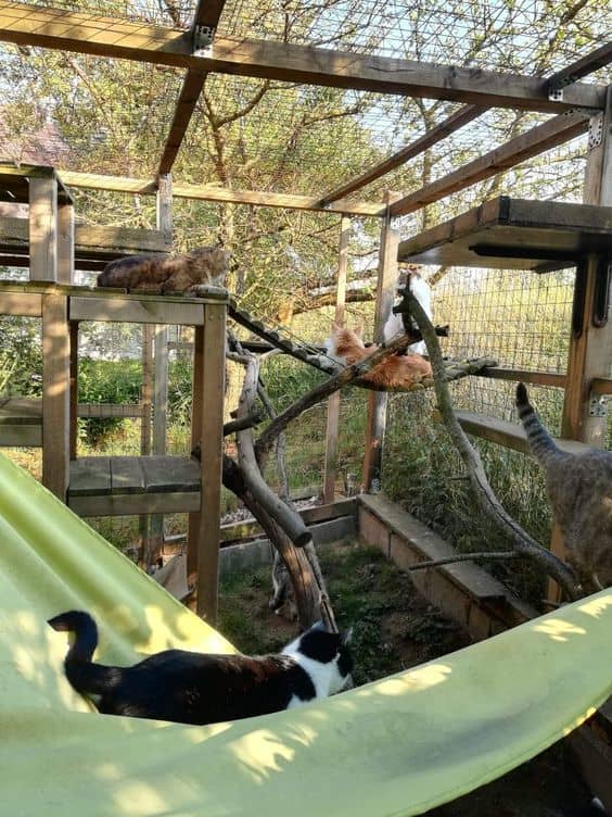 30+ DIY Catio Ideas That Are Totally Pawsome - HubPages