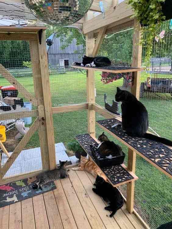 30+ DIY Catio Ideas That Are Totally Pawsome PetHelpful