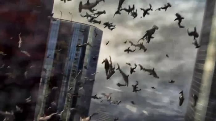 Today's forecast includes a strong chance of showers from the Atlantic and even a chance of a Great White or Hammerhead... welcome to the insanity of 'Sharknado'.