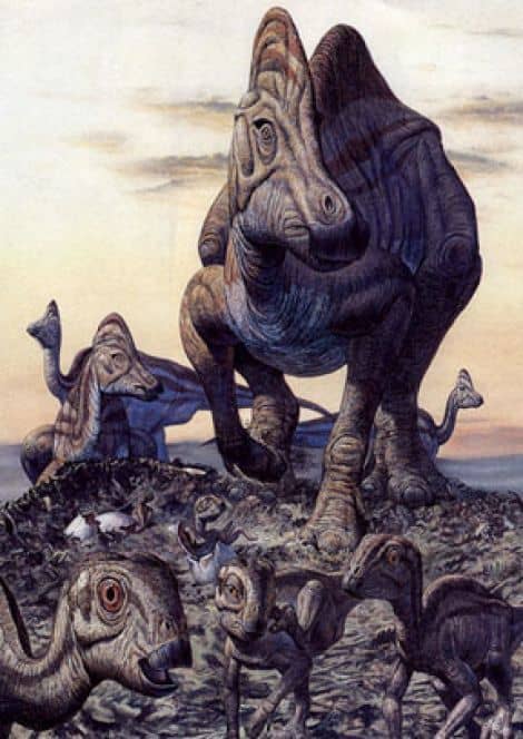 Hypacrosaurus nest site (Mark Hallett). These lambeosaurs laid the largest known eggs of any known non-avian dinosaur, about a gallon in volume.