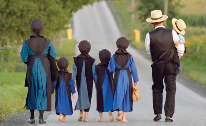 A good example of counterbalancing to industrial society is the growth of non-industrial groups like the Amish or Ultraorthodox Jews.