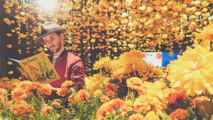 If you're feeling lost and don't know what to do, just take a page out of Dr. Seuss' book!