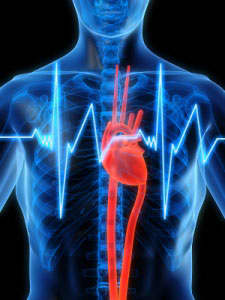 When it comes to the heart, which is better for you? Beer or Red Wine, photo By lengtarang, source Photobucket