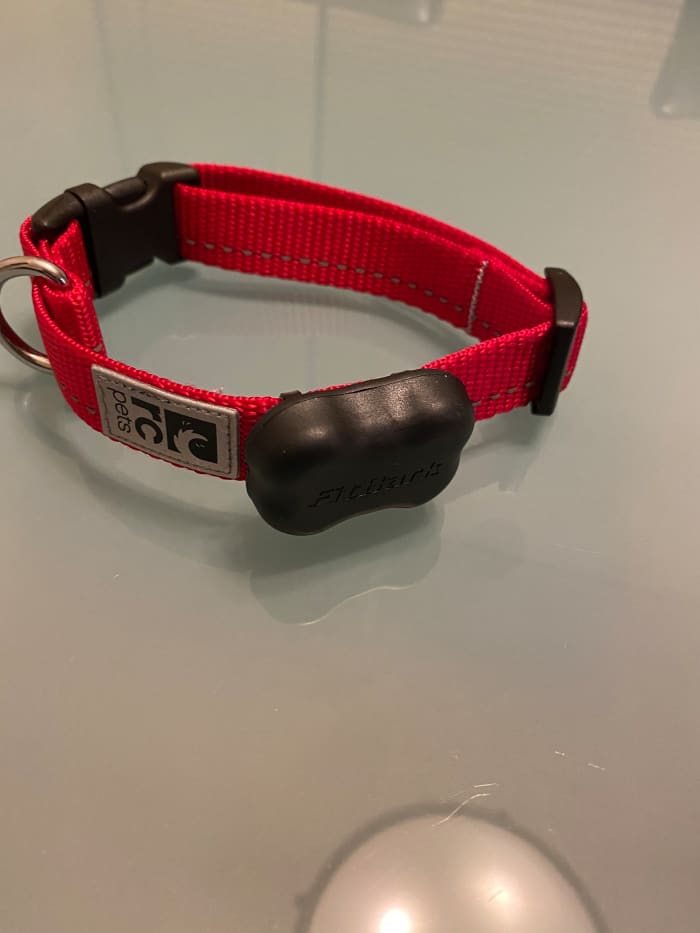 FitBark 2 cover reapplied now that the device is securely strapped into place on the collar. Before you put it on your dog, you need to make sure you charge up the device and create your dog's profile.