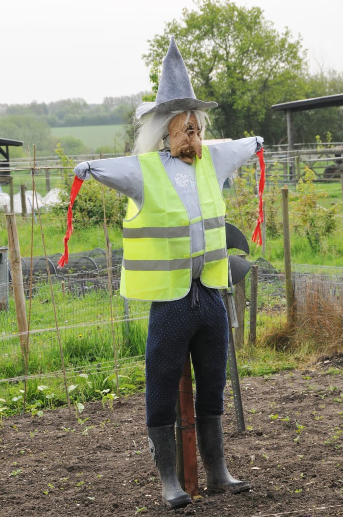 Safety jackets definitely have more than one use. Scarecrow wearing a safety jacket