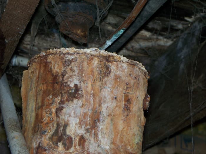 This is a photo of a hard water leak from a pipe that dripped onto a metal paint can. It is amazing how fast and how much it deteriated.