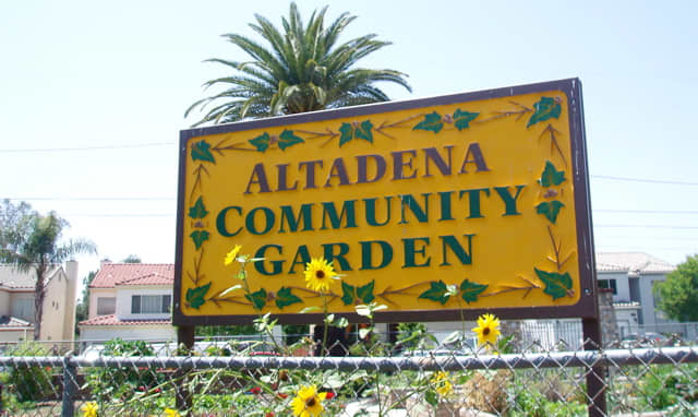 Community gardens help provide healthy food for city areas and build a sense of community.