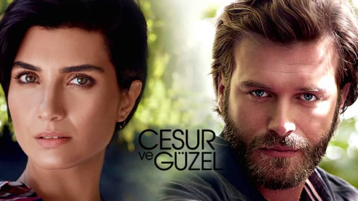 15 Best Romantic Turkish Drama Series Reelrundown 2119