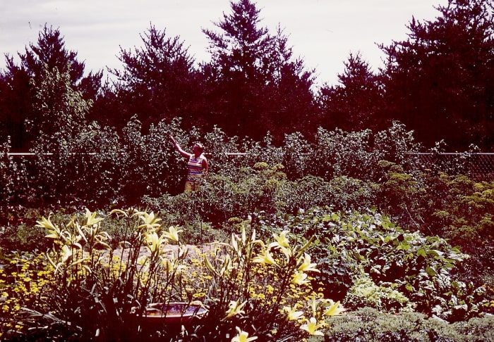 Following my grandfather's example, I once had a large garden in Wisconsin, and I also grew carrots plus many other items. We shared much of what I harvested with our neighbors and friends in the area. You can see a portion of that garden here.