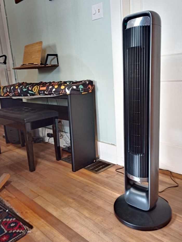 Review of the Paris Rhone Tower Fan Dengarden