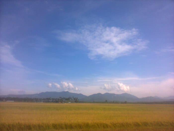 Again, thank you Trang Củ Cải, I took this sans your permission. Well, if you see this, forgive me.