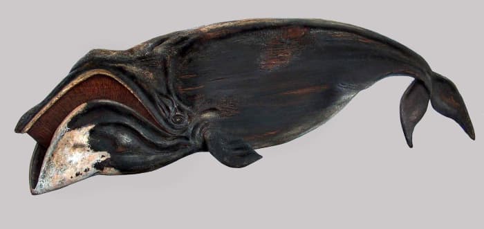 Longest Living Mammal (non-human): Bowhead Whales have estimated maximum life spans of 200 to 260 years, according to scientists.