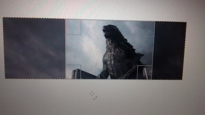 We highlighted a rectangle with the crop tool. The dark area outside the rectangle is what will be discarded.