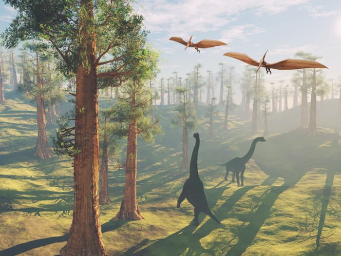 The Cretaceous Period was the last of the three periods of the Mesozoic Era. It lasted from about 145 to 66 million years ago.