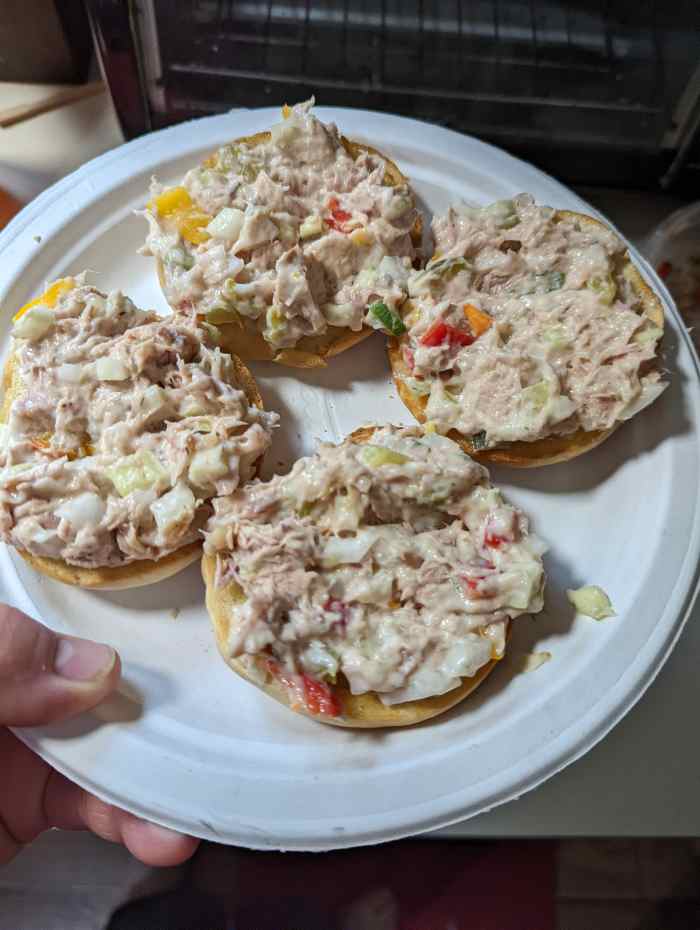 Bagels Toasted with Tuna Salad HubPages