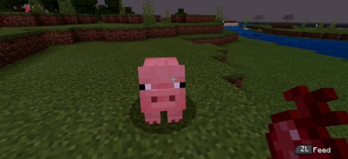 What Do Pigs Eat In Minecraft - HubPages