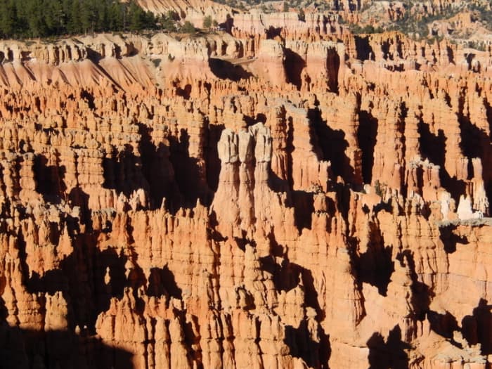 Some of the fascinating hoodoos seen in Bryce Canyon National Park, Utah; it's the largest concentration of hoodoos in the world!