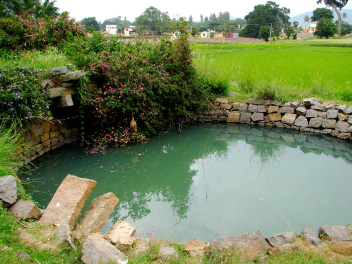Adventure Camp, swimming in the well