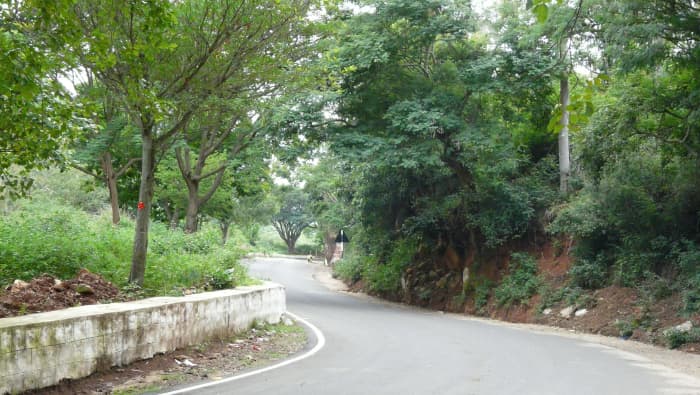 The road to Yelagiri is as good as the destination.