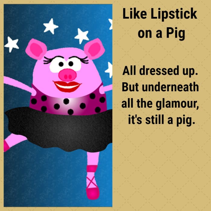 30 Pig Idioms and Phrases Explained HubPages