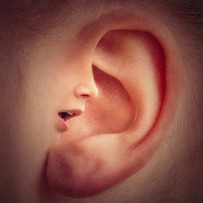 our body is the first to be affected by the sound it utters. Speaking and listening.