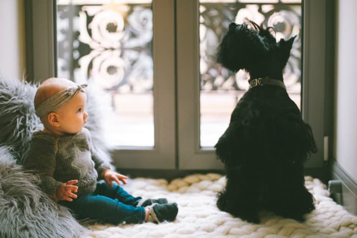 Baby and dog, it’s a lot of responsibility maintaining the health of a family. Probiotics are easy and quick to administer. If you miss a dose - no problem! Start again when you’re ready.