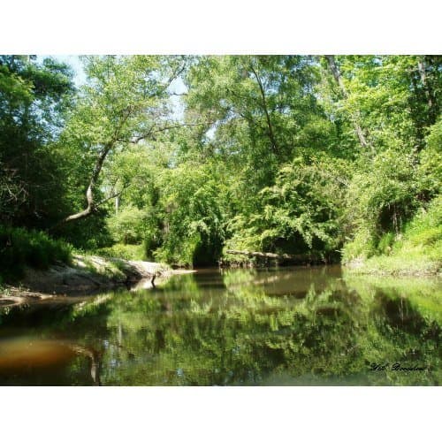 The Tchefuncte River is on of the Scenic rivers in Southeastern Louisiana where we live.