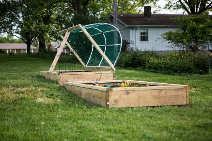 How (Not) to Build a Garden Box: An Absolute Beginner Guide - Dengarden