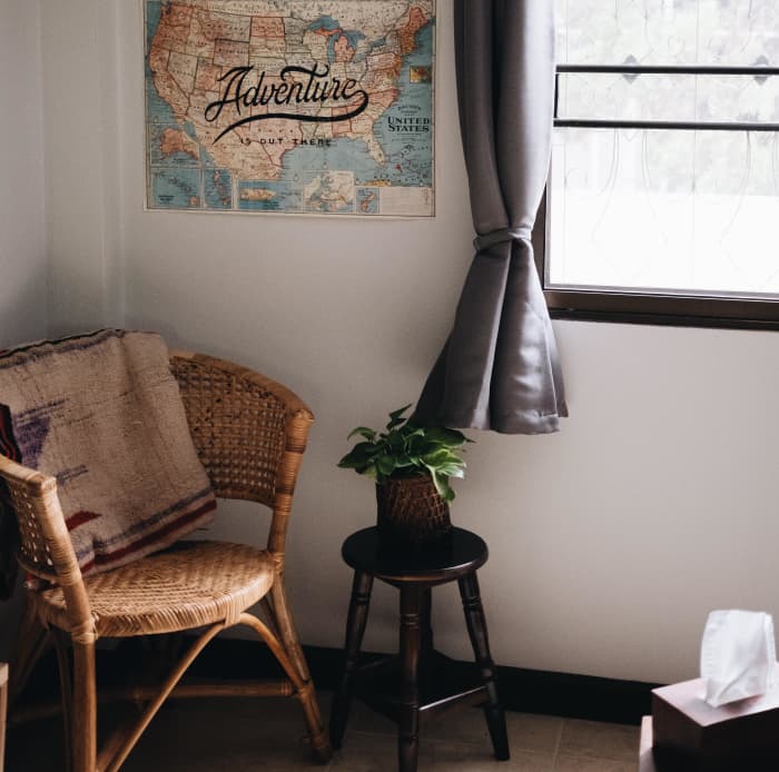 If you're not sure whether your bedroom has enough light for plants, here are a couple of easy ways to find out.