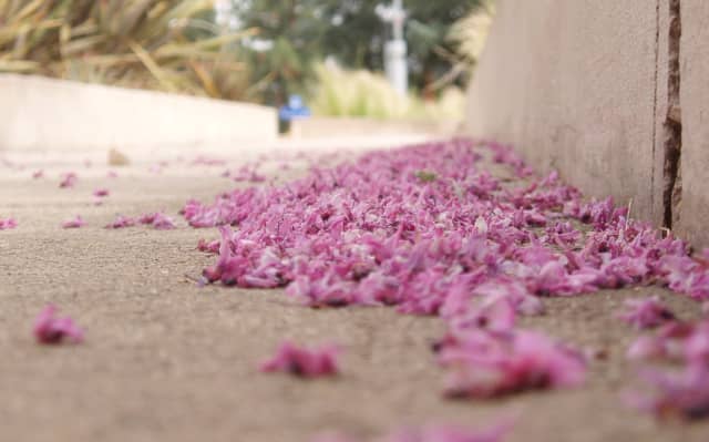 Loneliness, nostalgia for what was before can hit us, as one season leaves and the next begins.