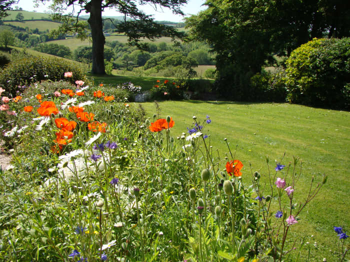 Turf in a Garden