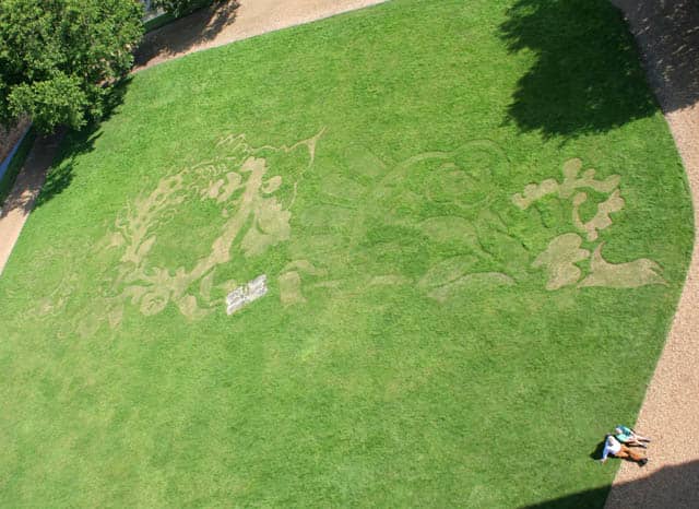 Irregular Shaped Lawn