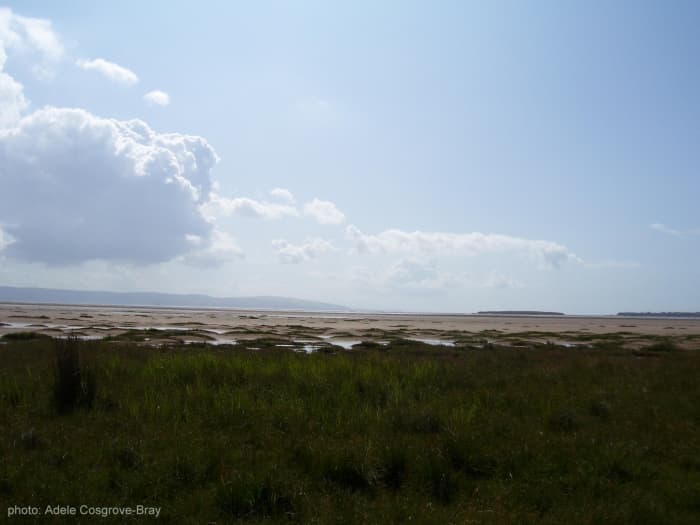 Marsh grass lining West Kirby beach, with Little Eye and one corner of Middle Eye on the horizon, with the hazey hills of Flintshire on the left.