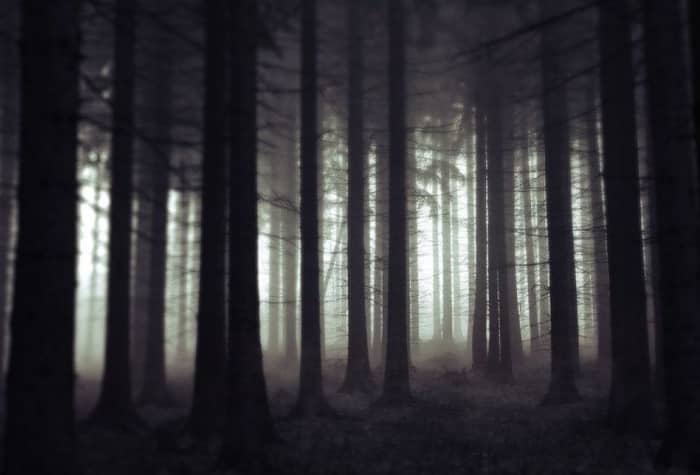 Rachel Burkheimer lay in the dark woods in the foothills of the Cascade Mountains, where she would pray before her death. Photo courtesy of SSC Library.
