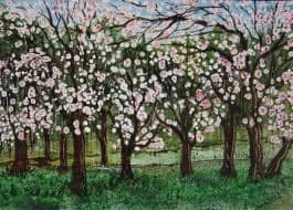In spring trees will flower, as soon as the days become longer and the temperature becomes warmer, all trees look wonderful when they are in flower and we all are happy to see these events.