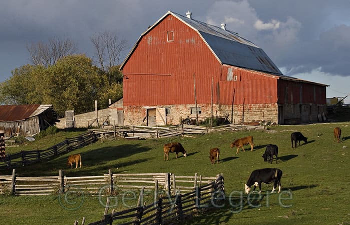 This picture shows a large farm house, but even though is is large there are not many people around, so, it is still a lonely place to live your life. The farms that I am talking about in my text are a lot smaller, but they are again lonely places.