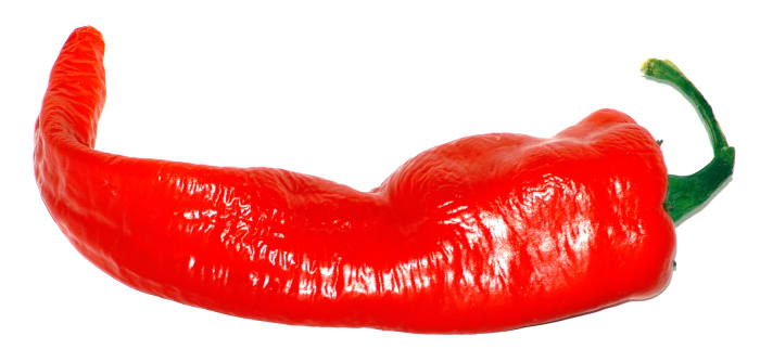 A Large Cayenne Pepper