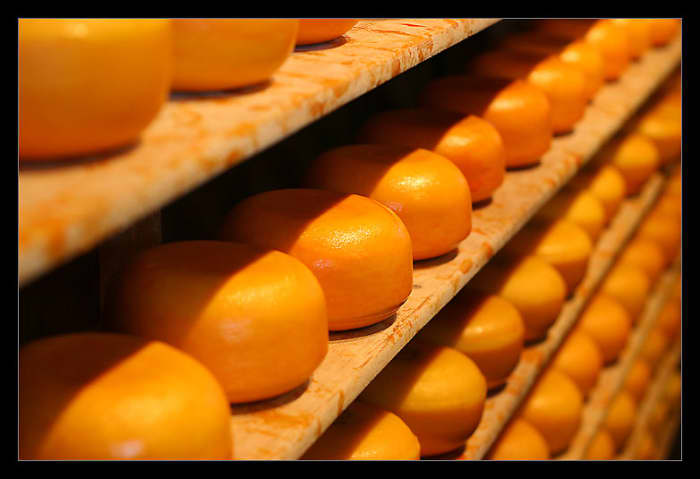 There are many types of cheese in the world, this photo is from a factory that has these wheels of cheese there to mature. Cheese is very yummy to eat in many ways and can be used to add to lots of food, as we all know.