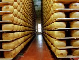 There are hundreds if not thousands of Parmigiano Reggiano wheels of beautiful cheese in this storage.