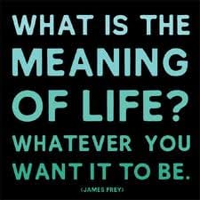 We all want to know what is the meaning of our own life, but to understand that we need to observe and learn, if we do that than we know the answer to our question, and perhaps learn what we would like to do in life.