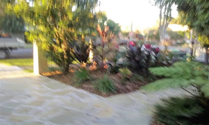 This is part of the front garden, it is a lot better now, and we like it. Let us hope that it lasts for a long time.