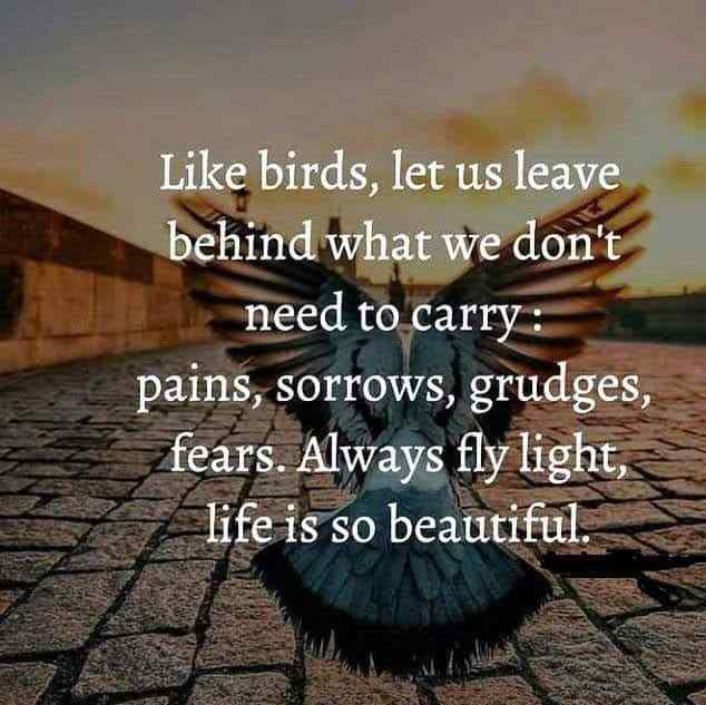 PoemLife Is a Journey Worth the Experience Response to Word