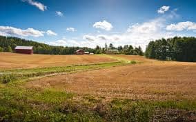 Farms are very isolated places and to live in the farm is boring to say the least. Usually there is nobody you can talk to, so life is very boring and lonely, this specially applies to the time when I was young.