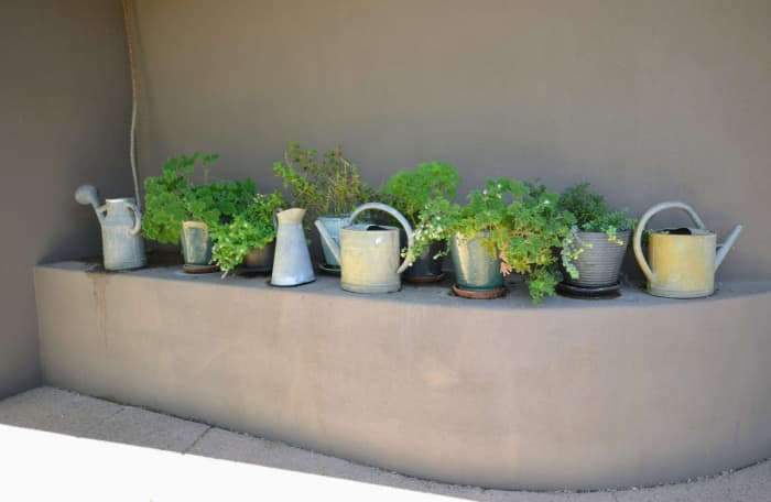 An image from an herb garden I was at. Plants grown in herb gardens are full of wonderful natural essential oils. I love to brush the leaves and then smell them on my hand. They are great to cook with and ingest that way.