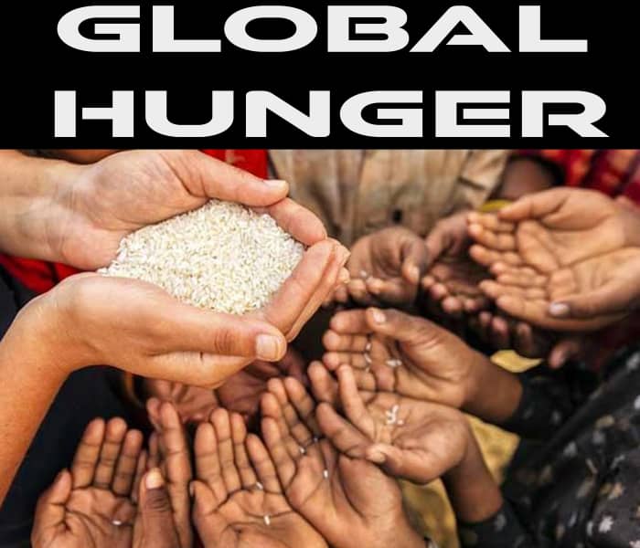 global-hunger-hubpages